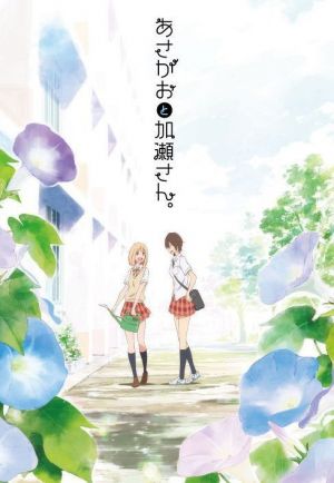 Kimi no Hikari: Asagao to Kase-san.