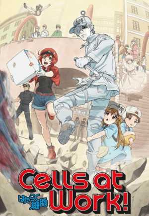 Hataraku Saibou