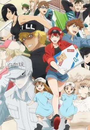 Hataraku Saibou: Kaze Shoukougun